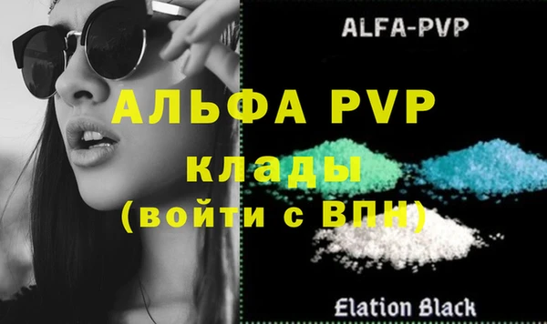 spice Гвардейск