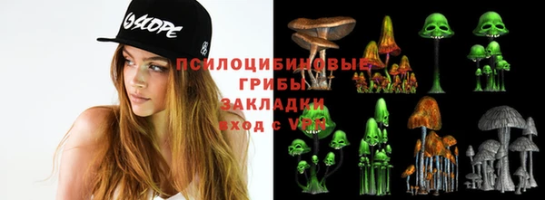 марки lsd Осинники