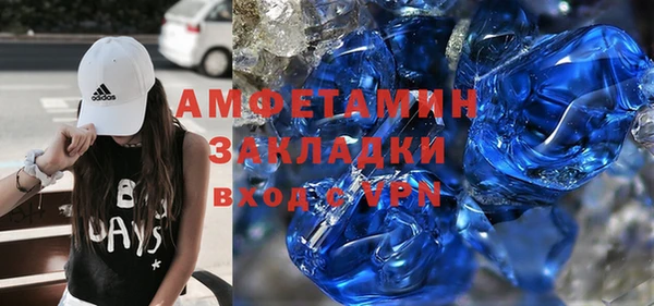 PSILOCYBIN Вяземский