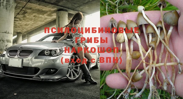 мдпв Остров