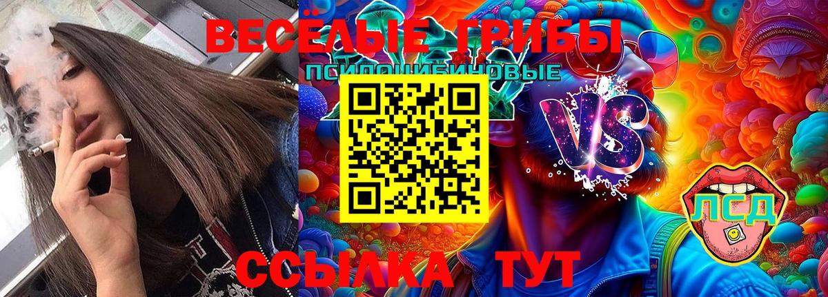 Барабинск  Псилоцибиновые грибы GOLDEN TEACHER  Вход с VPN  Псилоцибиновые грибы MAGIC MUSHROOMS 