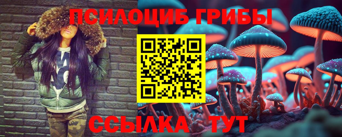где купить наркотик  Псилоцибиновые грибы Cubensis  Барабинск  Псилоцибиновые грибы Magic Shrooms 