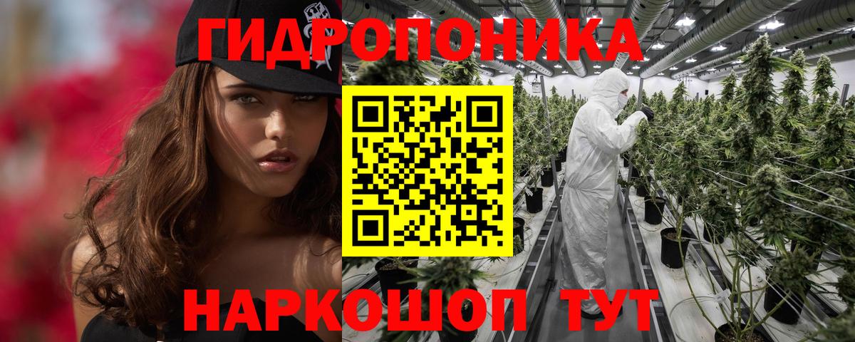 Бошки марихуана OG Kush  Конопля Amnesia  Барабинск  Шишки марихуана планчик 